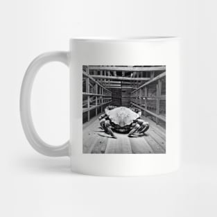 Demon Barn 22 Mug